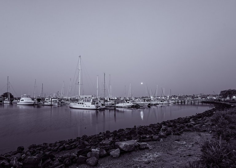 mono recent walks-4.jpg