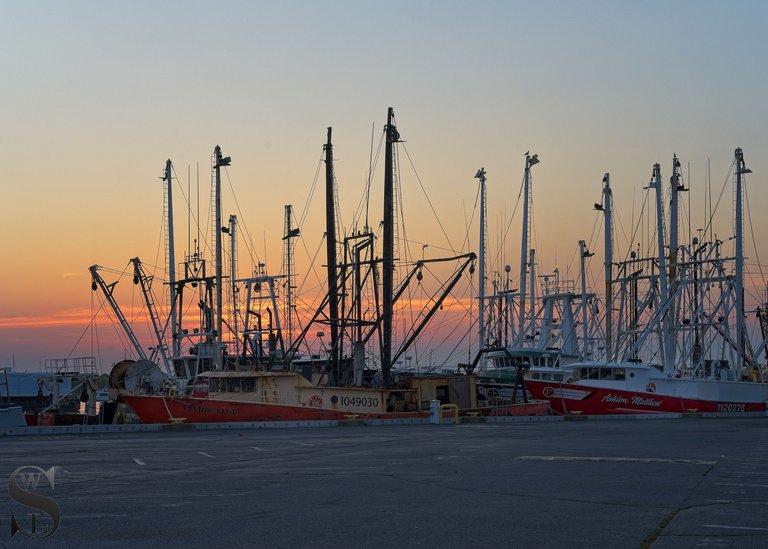 early morning at the port-5.jpg