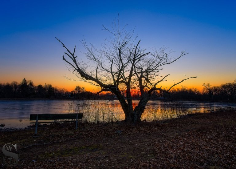 icy pond-3.jpg