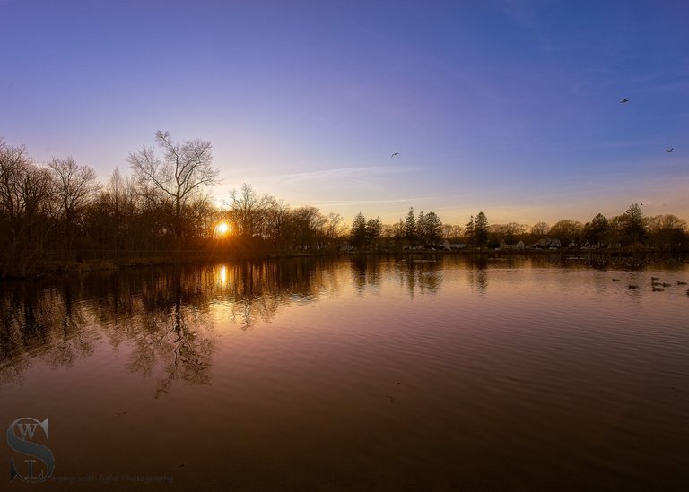 buttonwood sunset.jpg