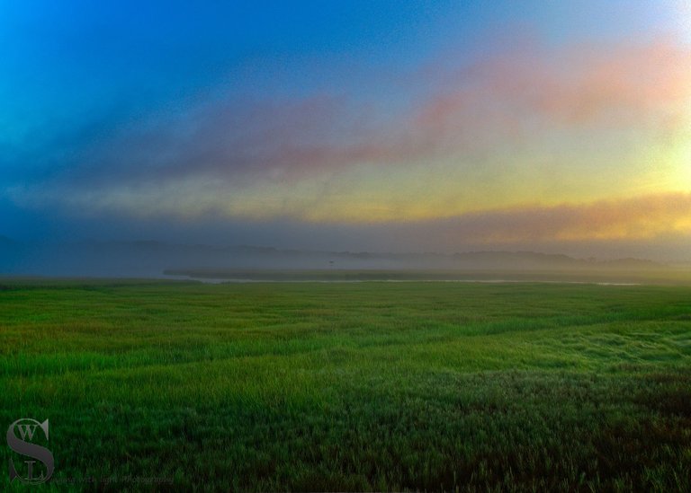 foggy at Allens Pond-4.jpg