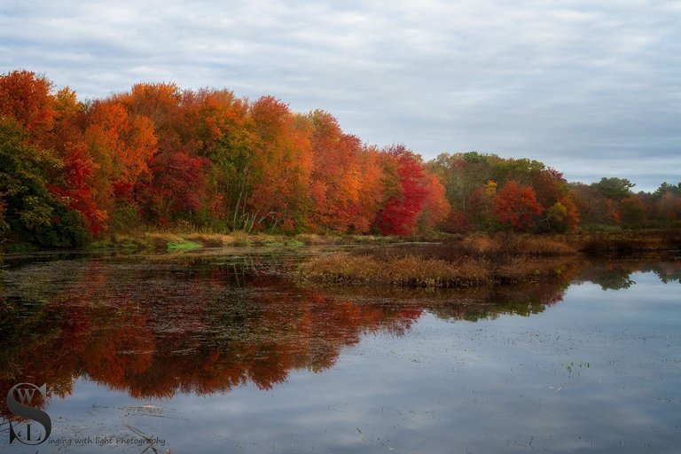 fall colors sawmill-2.jpg