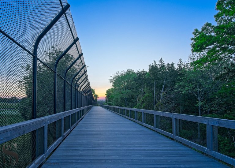 matt6apoisett rail trail.jpg
