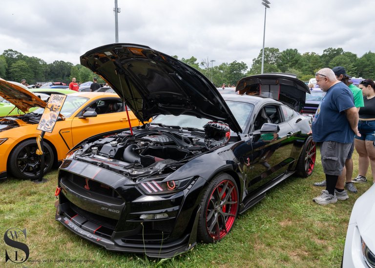 whaling city car show-9.jpg