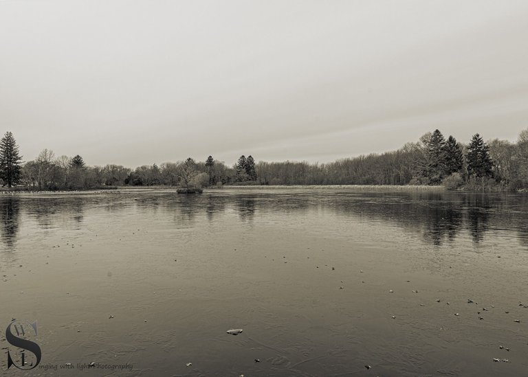 mono icy pond-2.jpg