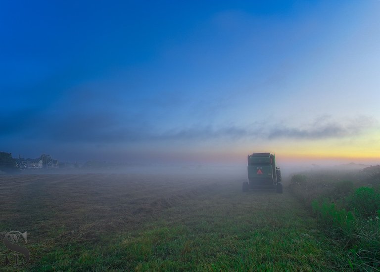 foggy at Allens Pond-5.jpg