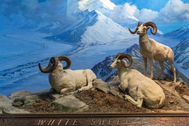 mf Natural History Museum-4.jpg