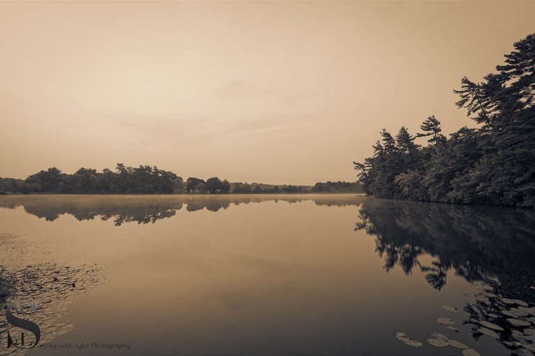 mono moody-5.jpg