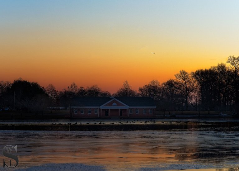 icy pond-2.jpg