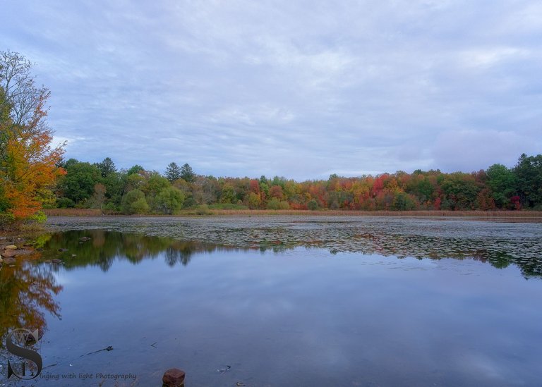 fall colors and sunrise-2.jpg