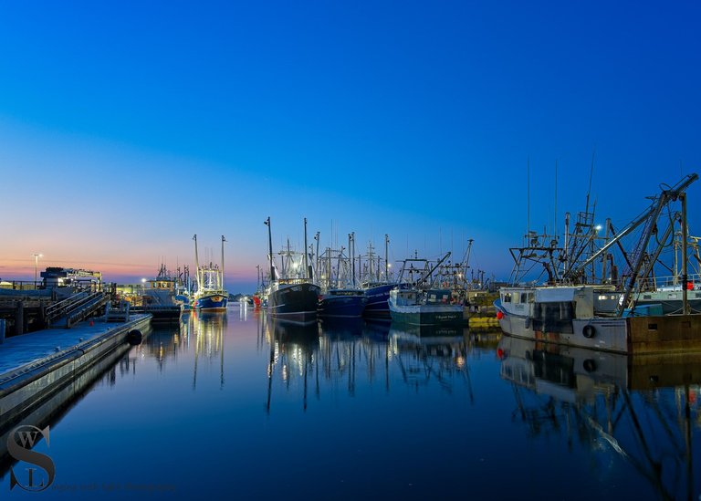 early morning at the port.jpg