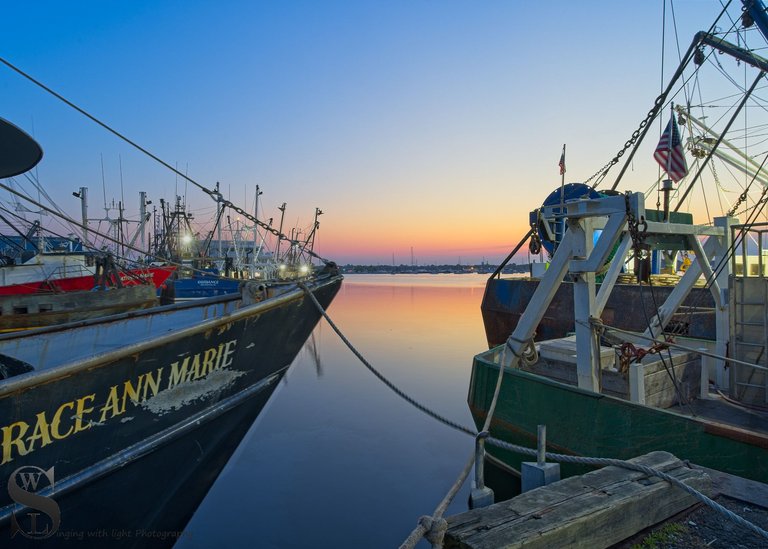 port early morning-4.jpg