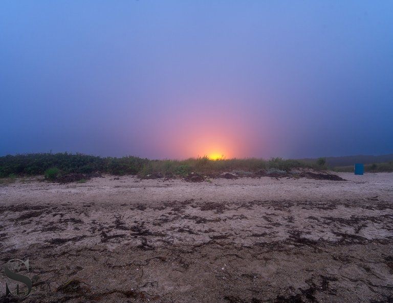 WW est island beach foggy-2.jpg