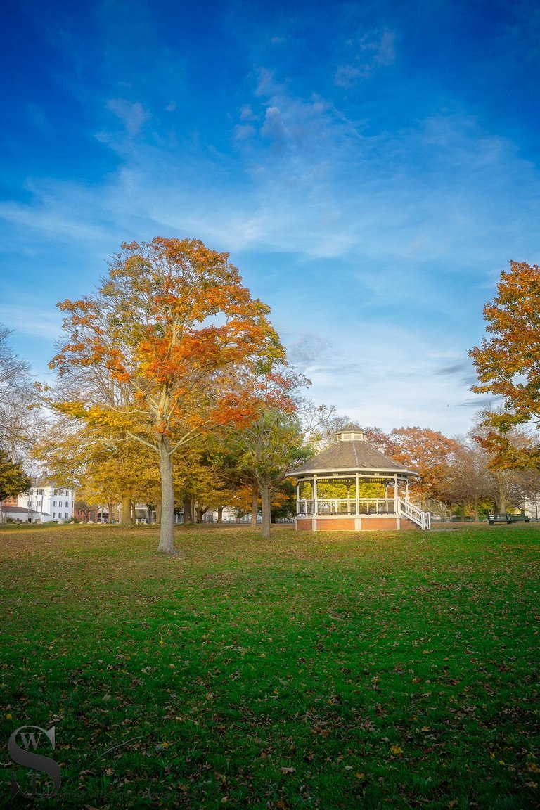 hazelwood park-3.jpg