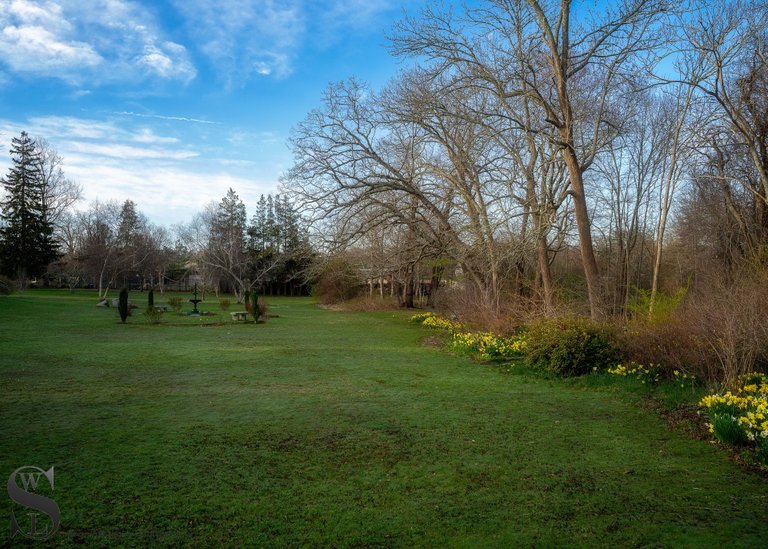 buttonwood park-5.jpg