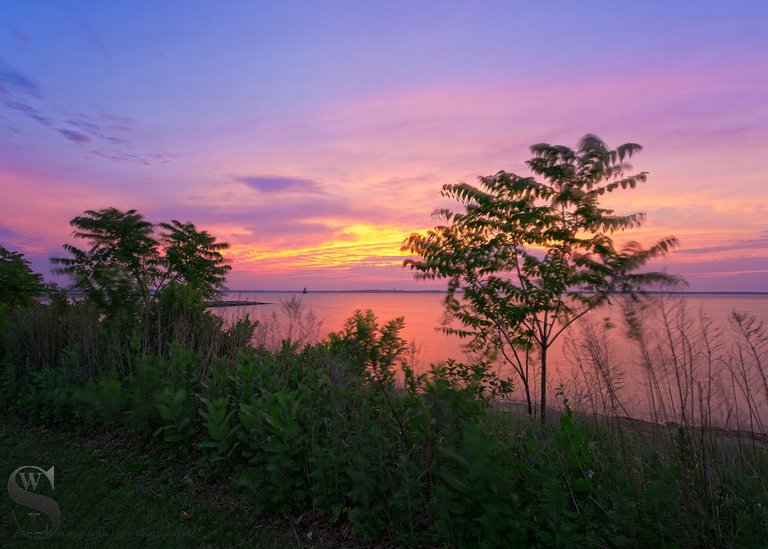 sb sunrises-4.jpg