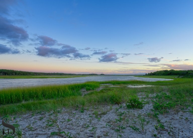 thurs West island Marsh.jpg