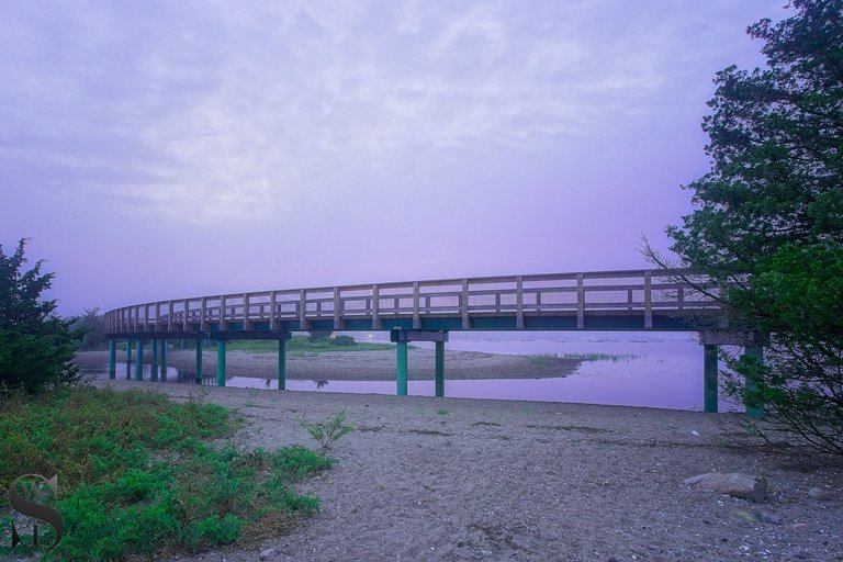walk on rail trail-3.jpg