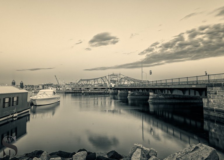 a few recent mono images.jpg