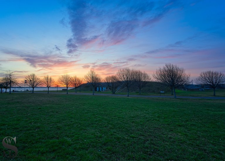 ww Early morning walk-5.jpg