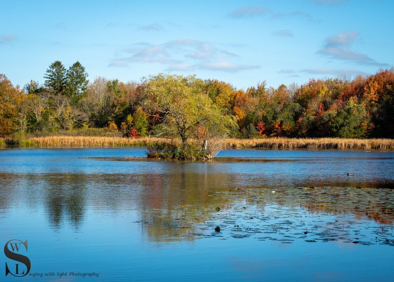 tamron 40-500 fall colors-4.jpg