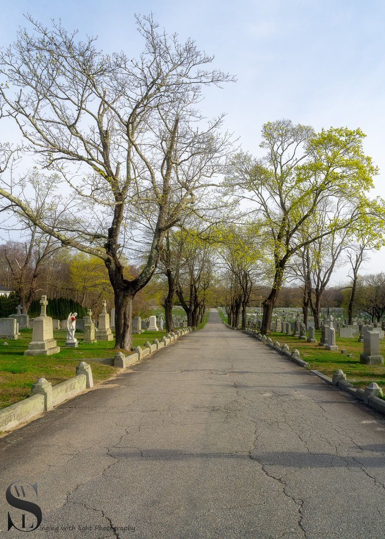 ww St marys Cemetery-1.jpg