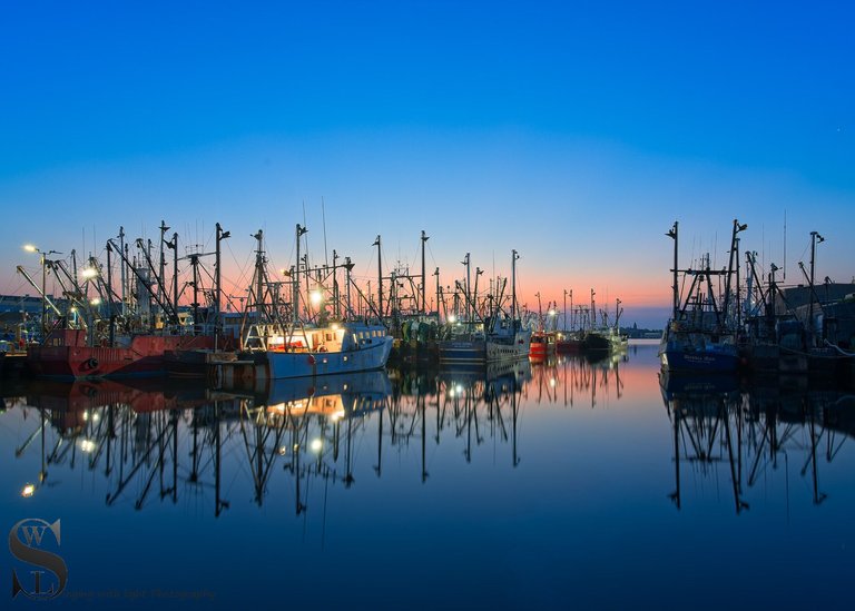 early morning at the port-3.jpg