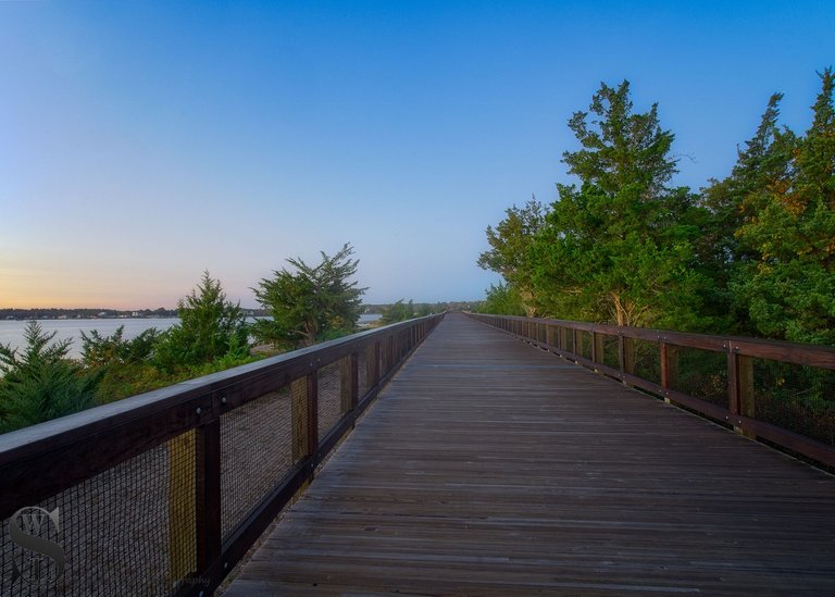 mattapoisett rail trail-4.jpg