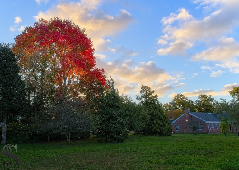 fall hazelwood park-5.jpg