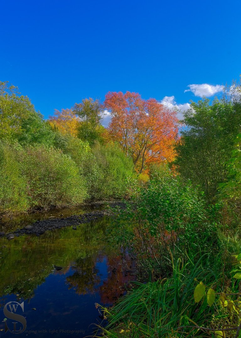 fall sawmill-3.jpg