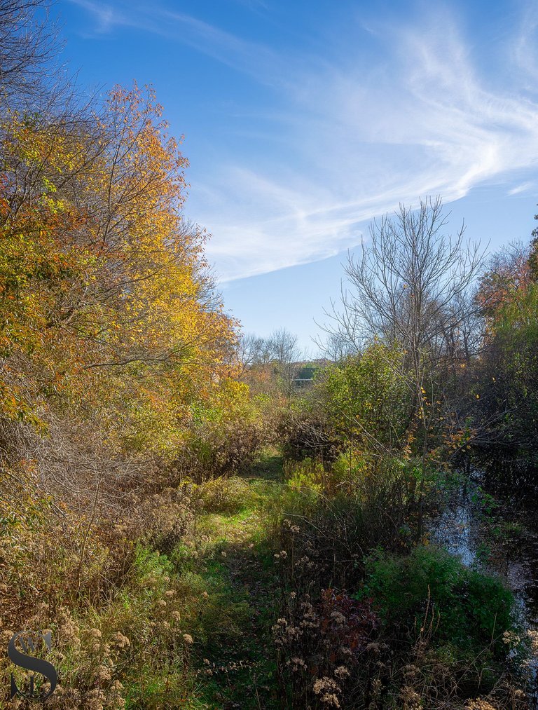 buttonwood park-3.jpg