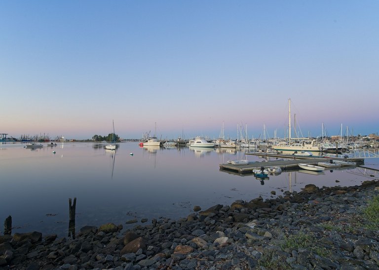 popes island early-4.jpg