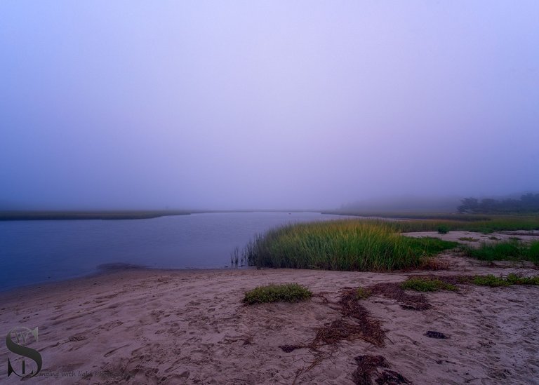 WW est island beach foggy-7.jpg