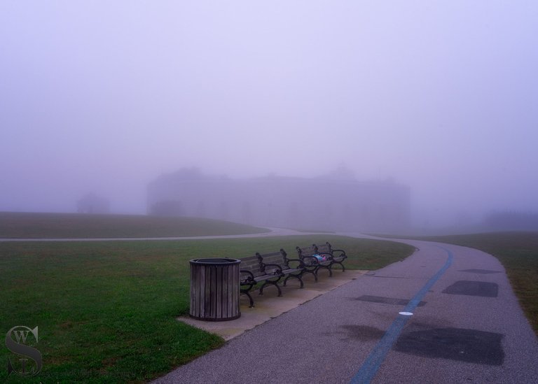 foggy-5.jpg