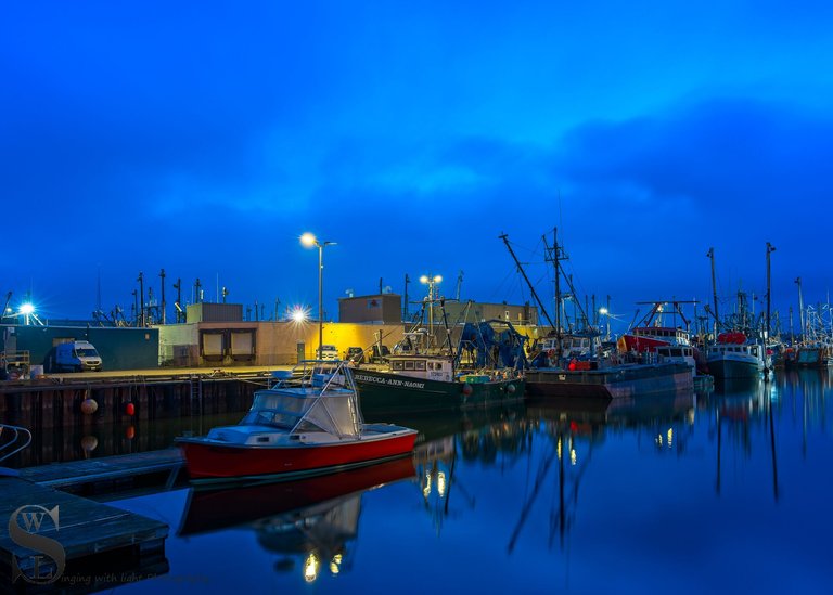walk at the port-3.jpg