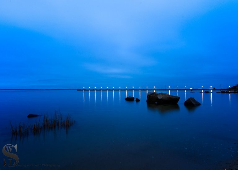 morning blues-5.jpg