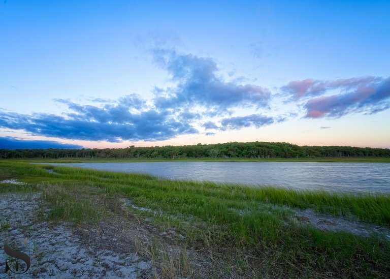 thurs West island Marsh-2.jpg