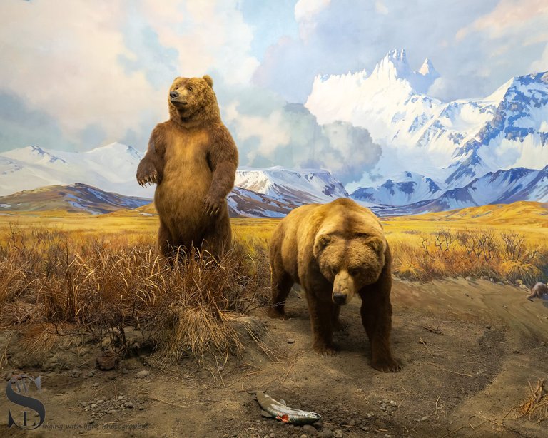 mf Natural History Museum-6.jpg