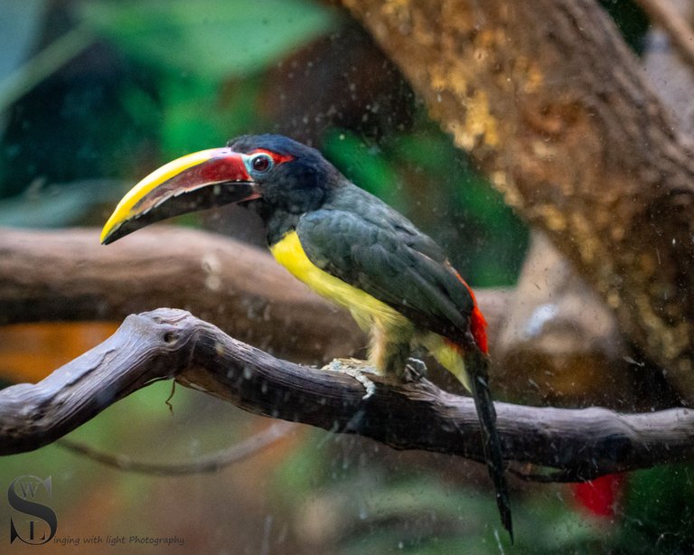 MF at the Zoo-2.jpg