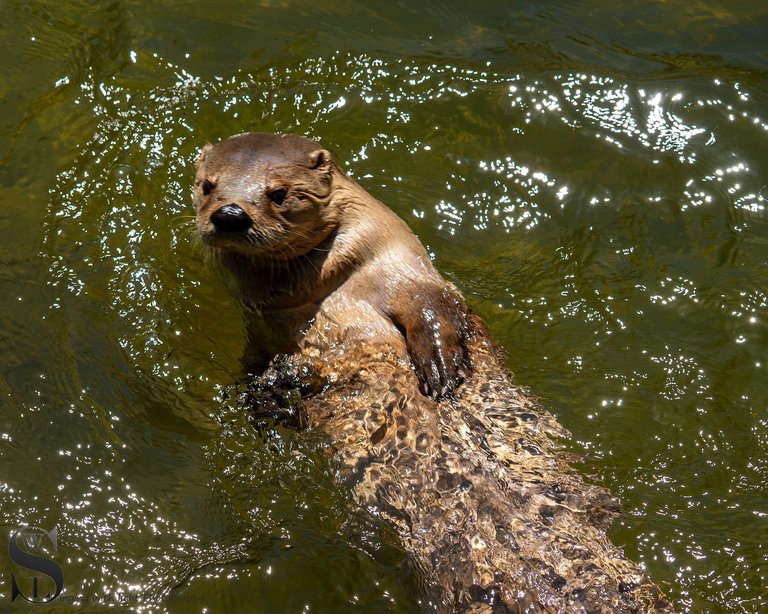 recent zoo visit.jpg