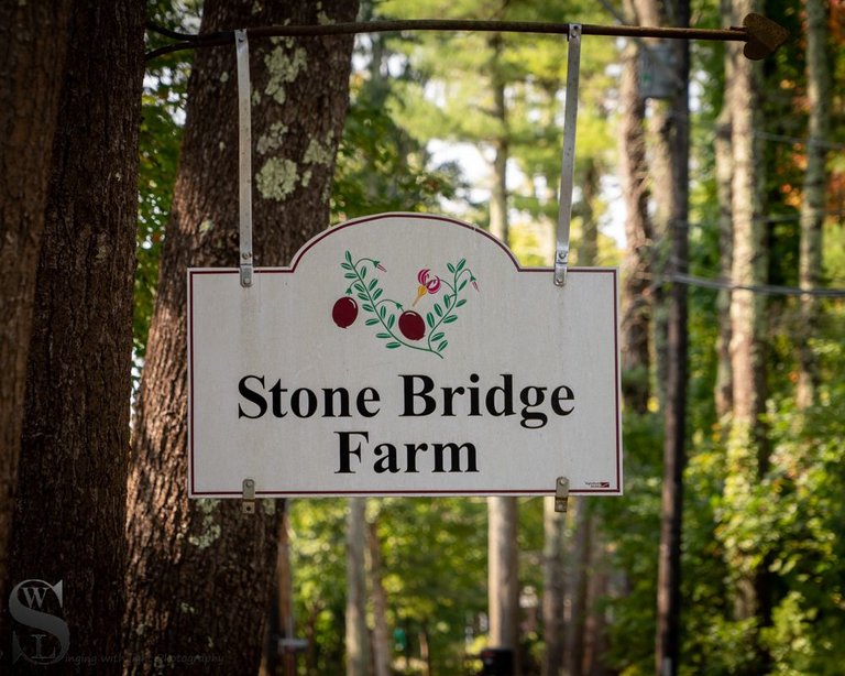 MF Stonebridge farm_-5.jpg