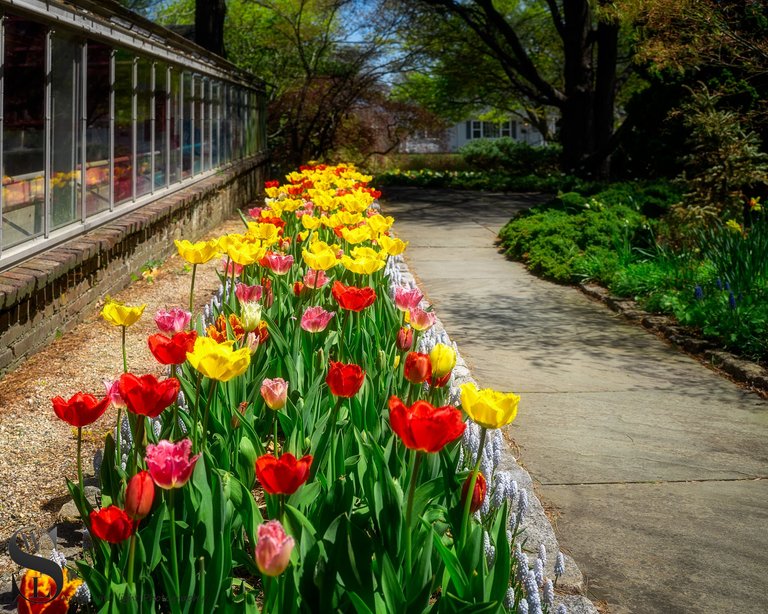 haskell gardens more-6.jpg