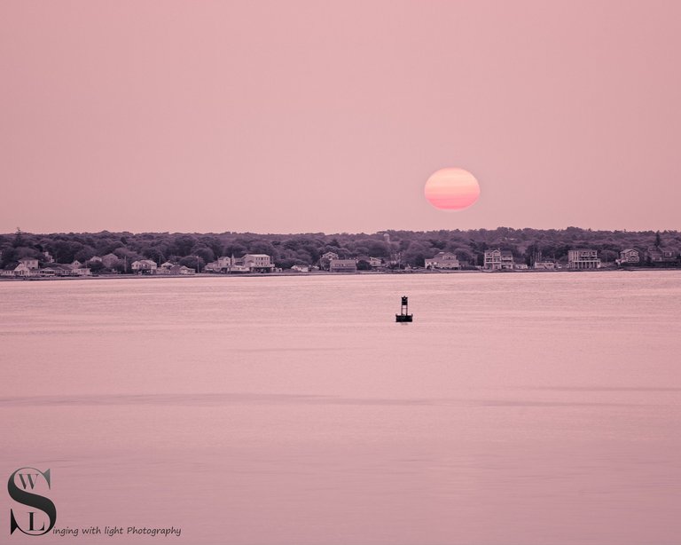 mono and a splash of color-2.jpg