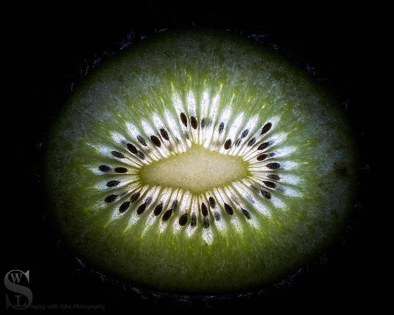 Kiwi fruit Ninja-2.jpg