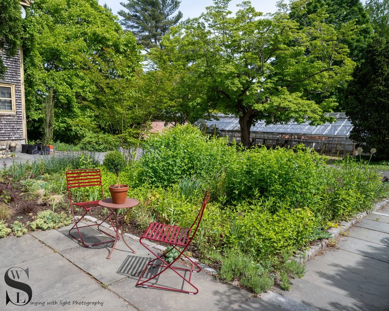 haskell gardens-3.jpg