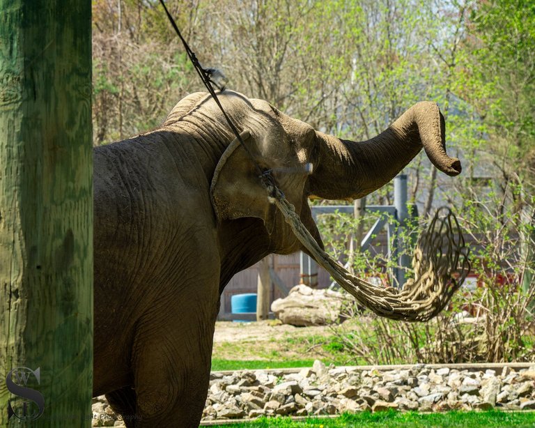 animals zoo.jpg