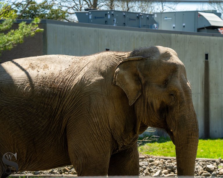 recent zoo visit-3.jpg