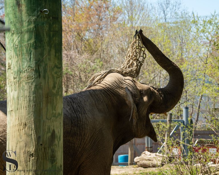 recent zoo visit-2.jpg