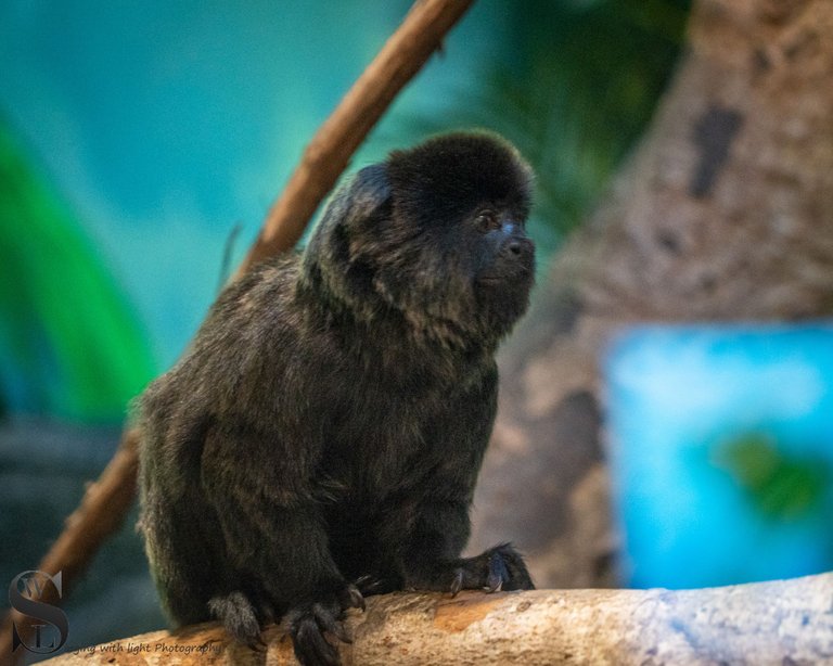 MF at the Zoo.jpg