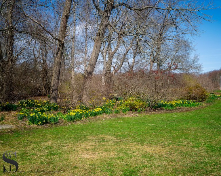 sb spring-3.jpg